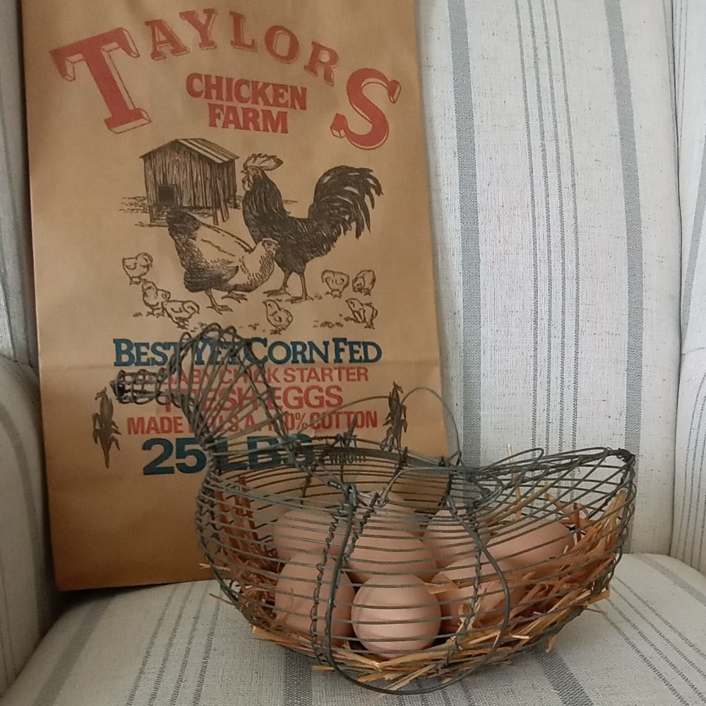 Vintage 50- 60's Wire Egg basket with 8 Ceramic Faux eggs & handled paper sack